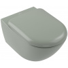 Villeroy & Boch Antao wc misa závesné bez oplachovacieho kruhu zelená 4674T0R8