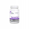GeriatiVet Dog 45 tbl