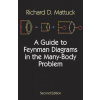 Guide to Feynman Diagrams in the Many-body Problem