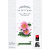 Mighty Boards Petrichor - Flowers