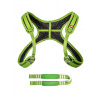 Súprava Ocun Webee Chest Lite + Tie-In Sling - green/black