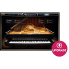XLN Audio AK: Studio Grand (Digitálny produkt)