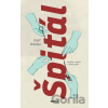 Špitál - Josef Veselka