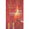 Oheň a plamene - Scotto Raimondo