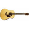 Yamaha LL16 ARE