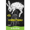 E-kniha V břečťanu - Jan Rupp