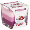Bispol Aura Frozen Berries 170 g