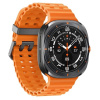SAMSUNG Galaxy Watch Ultra (2025) LTE, Gray