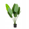 Umelá rastlina TROPICAL ZONE banánovník 90 cm HOMLA