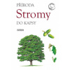Stromy