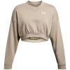Under Armour Women's Rival Terry Crew Cropped Sweatshirt Brown 14 (L)
