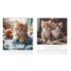 Cats 2026 - nástěnný kalendář