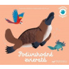 Podivuhodné zvieratá - Spoznávaj dotykom | Kolektív autorov