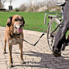 Trixie dog vodiace set na bicykel 2,5cm/1-2m