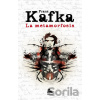 La metamorfosis y otros relatos de animales - Franz Kafka