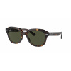 Ray-Ban RB4398 ERIK 902/31