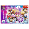 Trefl Hrdinovia mesta Tlapková patrola / Paw Patrol 27x20cm v krabičke 21x14x4cm 30 dielov