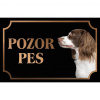 Anglický špringeršpaniel - Kovová tabuľka POZOR PES