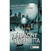 Záhadné zmiznutia - Prípad pre Madison - Phillip Margolin, Ami Margolin Rome