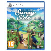 Sunnyside