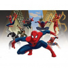 Fototapeta na stenu - FT2118 - Spiderman 208cm x 146cm - Vliesová fototapeta