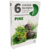 Vonné čajové sviečky 6ks-Pine