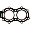 Tesnenie hlavy Tohatsu Mariner 2-taktný M9.9D / M15D MOTOWODNIAK