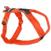 Non-stop Dogwear Postroj Line 5.0