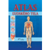 Atlas ľudského tela
