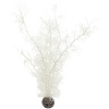 biOrb Sea Fan biela 39 cm