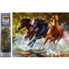 Norimpex Diamantové maľovanie Kone v rieke 40x30cm
