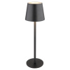 GLOBO 58438G VANNIE Nabíjateľná stolová lampa LED 3W