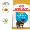 ROYAL CANIN Yorkshire Puppy granule pre šteňa jorkšíra 500 g