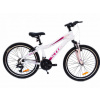 Junior bicykel - KTM Wildcat 24 kovový biely 2021 bicykel (KTM Wildcat 24 kovový biely 2021 bicykel)