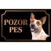 Austrálsky dobytkársky pes - Kovová tabuľka POZOR PES