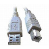 Gembird CCP-USB2-AMBM-10 USB 2.0, A-B, 3m, černý