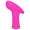 Lovense Ambi