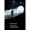 Duchovní inteligence - Draper Brian