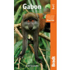 Sean Connolly - Gabon