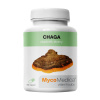 MycoMedica Chaga v optimálnej koncentrácii, 90 kapsúl
