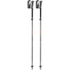 Leki Legacy FX TA 65222451 - silvergray bright/red black UNI