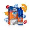 Just Juice Salt ICE Grape & Melon 10 ml 20 mg