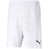 Trenky Puma teamRISE Short M 704942 03