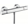 Hansgrohe 13116000