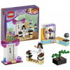 Lego Friends 41002 Ema trénuje karate