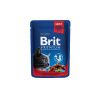 BRIT Premium cat Kapsička Adult Beef Stew & Peas 100 g