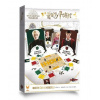 Asmodee Harry Potter: Mistr čar a kouzel
