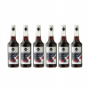 6 x barmanský sirup RIOBA ČIERNA RÍBEZĽA 700 ml