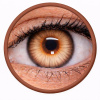 Maxvue Vision Phantasee Nulook - Misty Brown (2 šošovky mesačné) - nedioptrické