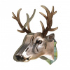 Miho Unexpected Things King Deer - ekologická trofej jeleňa na stenu - veľkosť L